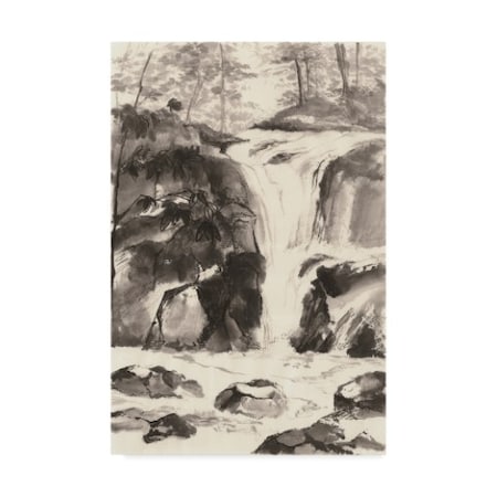 Chris Paschke 'Sumi Waterfall Iv' Canvas Art,16x24